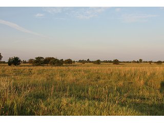 Tract 3 - LAND AUCTION - 440+/- Acres offered in 15 Tracts in Tulsa County